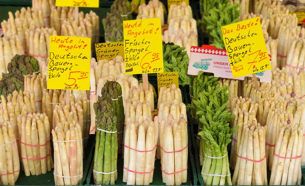 今日苍山蒜苔价格行情分析与市场走势观察