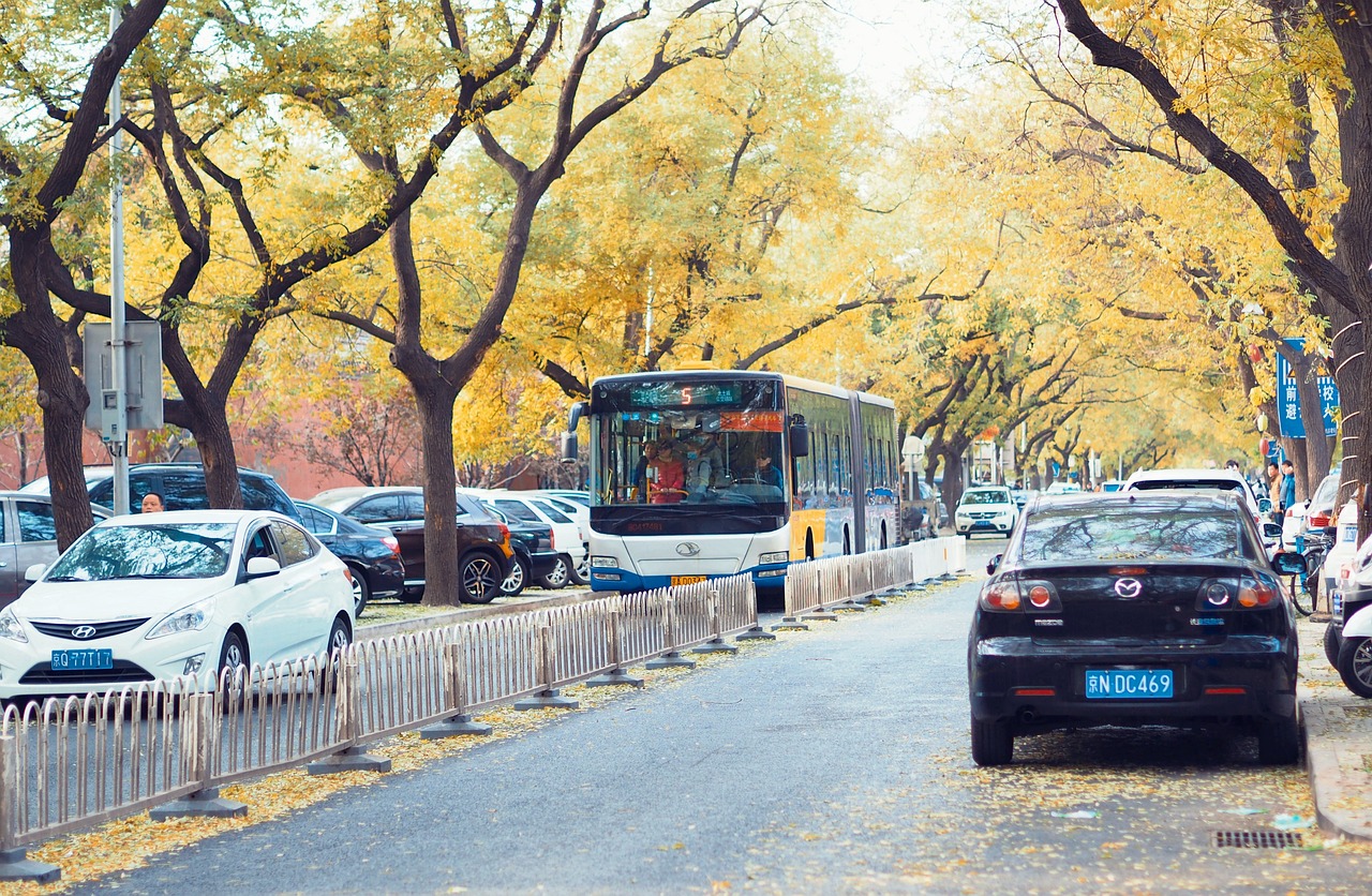 中塘镇最新新闻报道